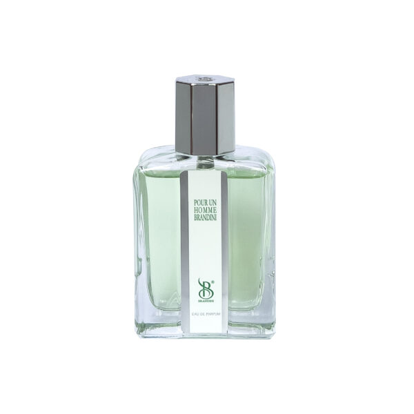 عطر جیبی مردانه برندینی مدل PourUn حجم 33 میلی لیتر